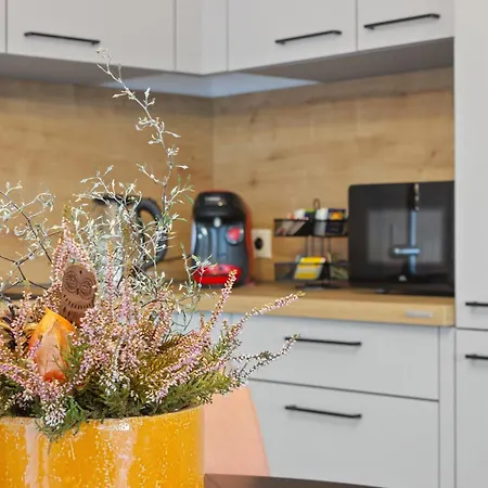 Appartement Gaestehaus Fuer 3 - Sauna - Terrasse - Wlan - Kueche