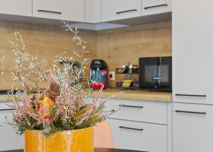 아파트 Gaestehaus Fuer 3 - Sauna - Terrasse - Wlan - Kueche